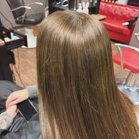 Straight brown hair with a smooth finish, viewed from behind in the salon.